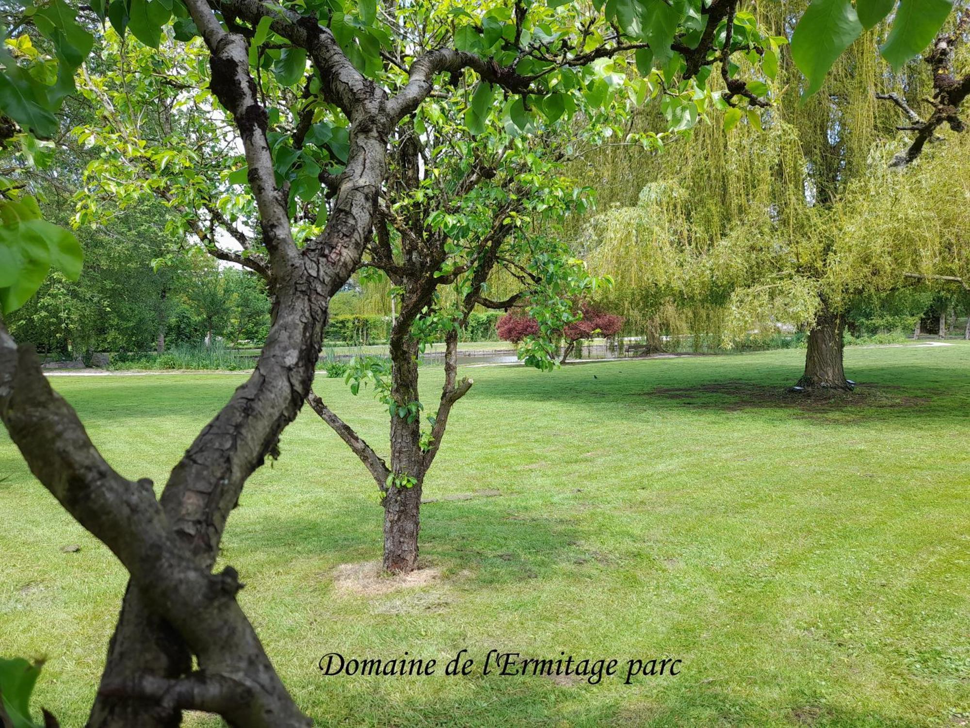 Domaine De L'Ermitage Villa รู ภายนอก รูปภาพ